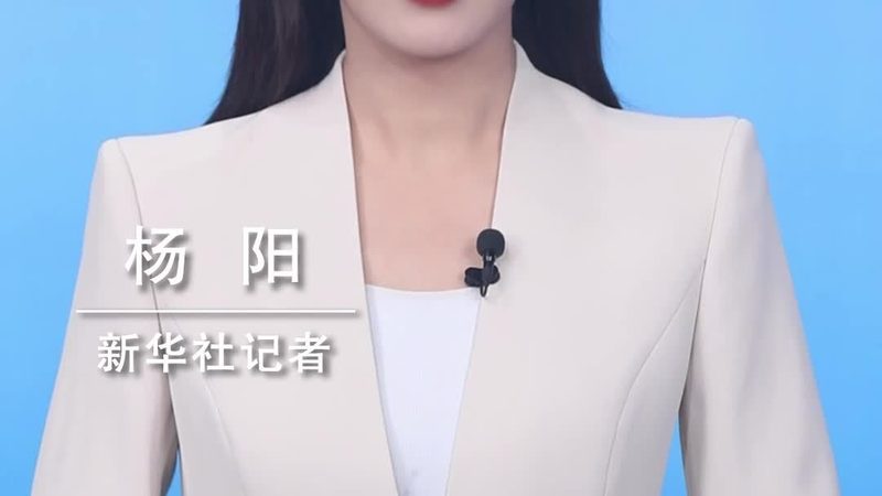 企业AI应用采购中的技术评估要点